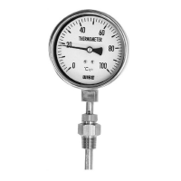 EURO GAUGE Direct Reading Thermometer